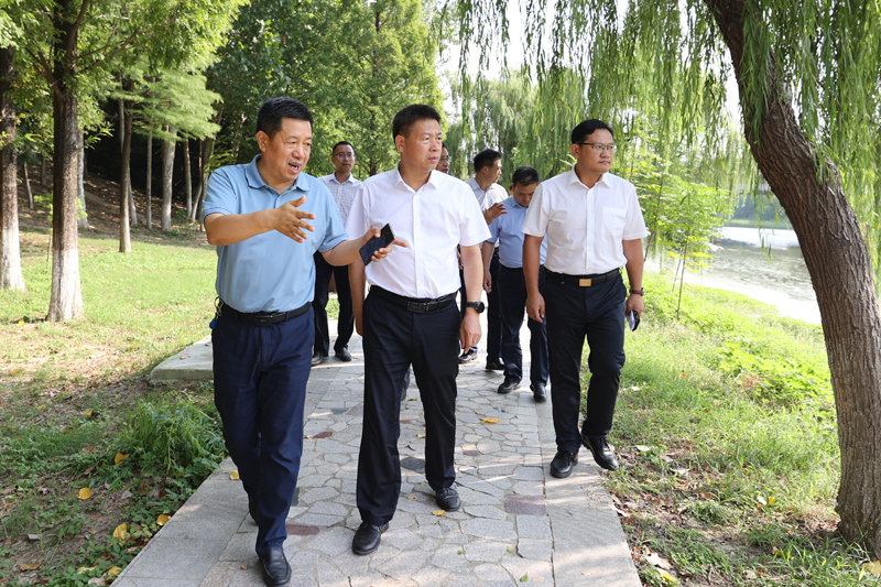图片文件