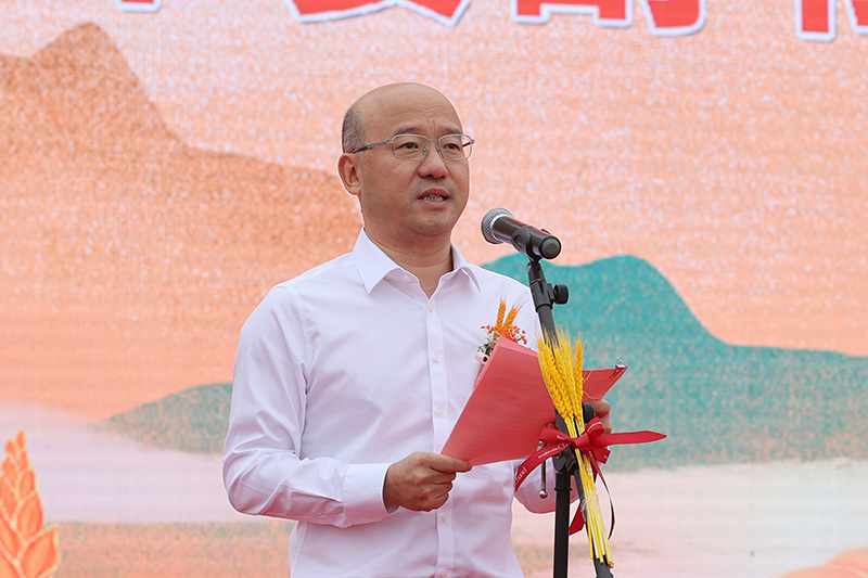 图片文件