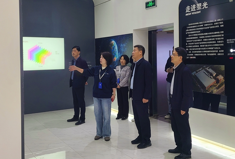 图片文件