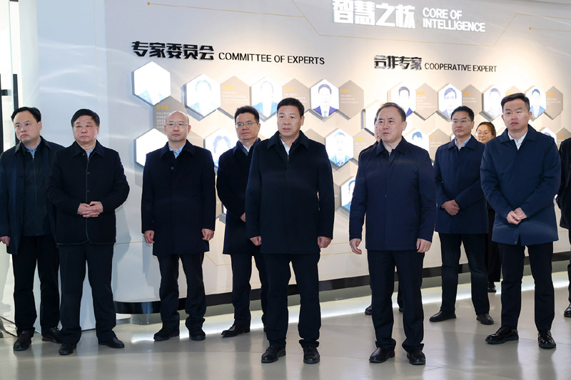 图片文件