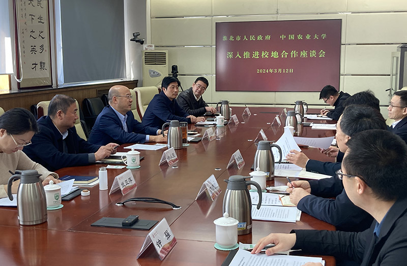 图片文件