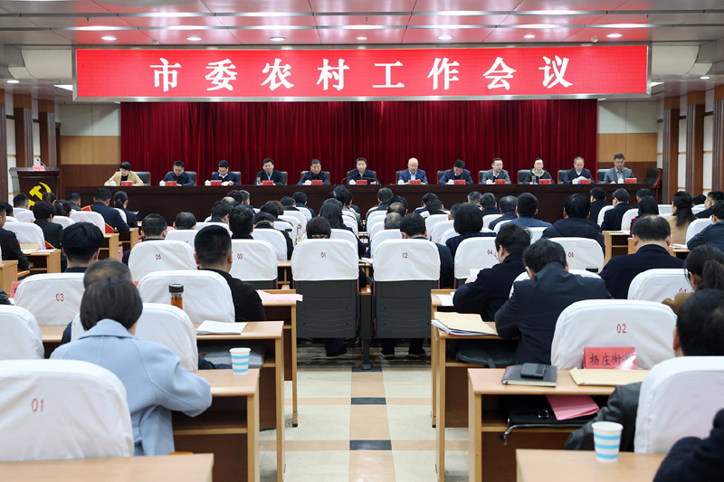 图片文件