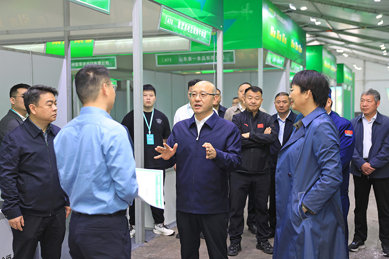 图片文件 图片文件