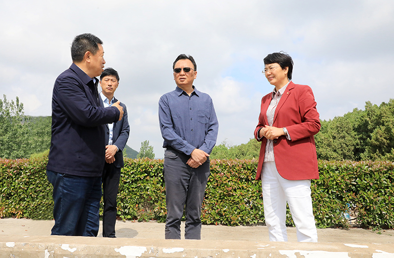图片文件