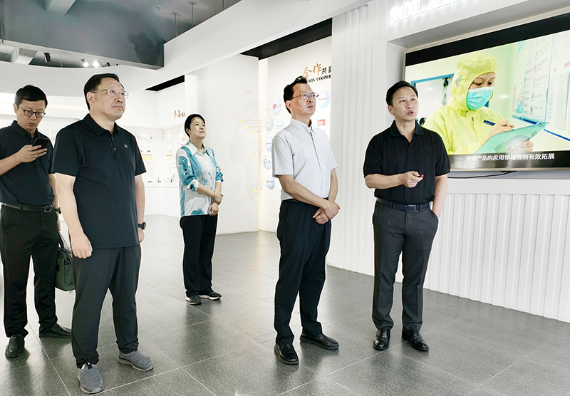 图片文件