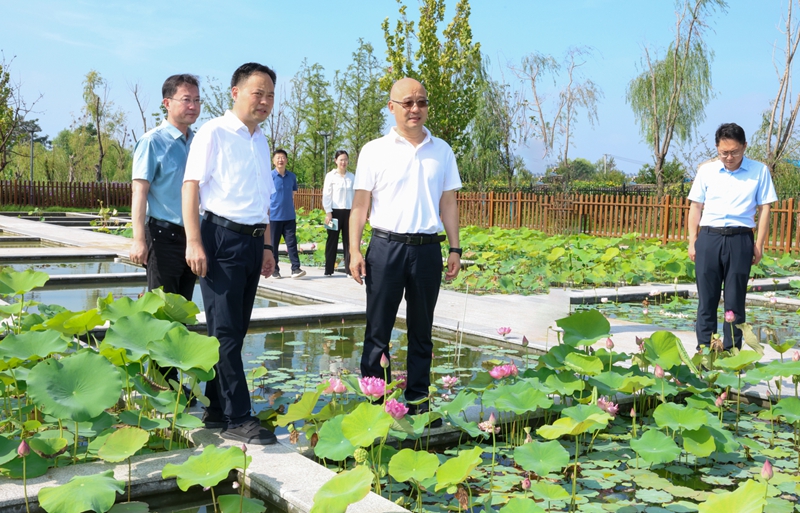 图片文件