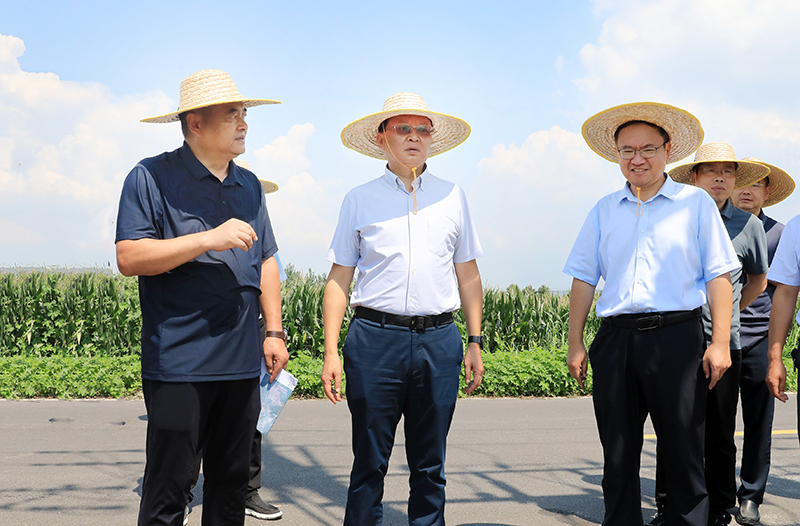 图片文件