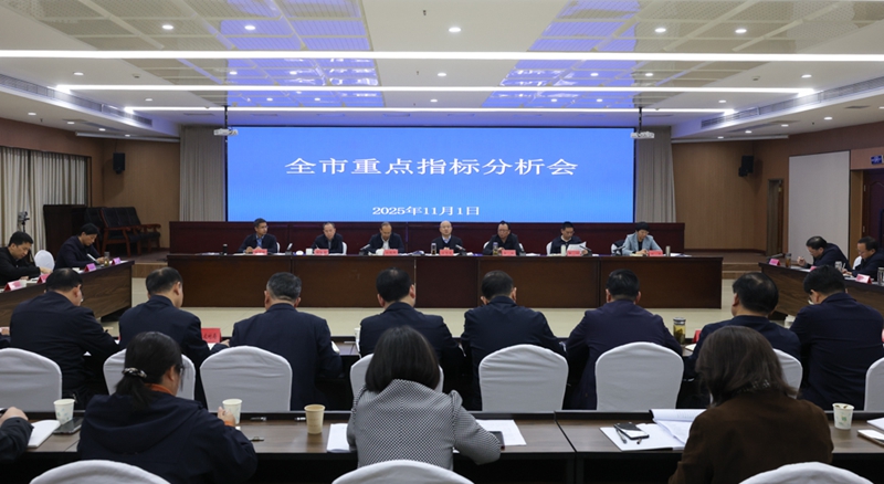 汪华东主持召开全市重点指标分析会