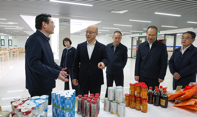 图片文件 图片文件