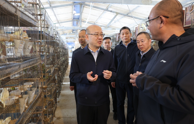 汪华东调研宠物经济发展及秋种工作