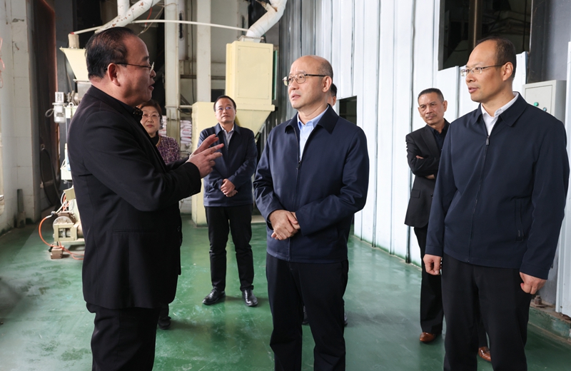 图片文件 图片文件