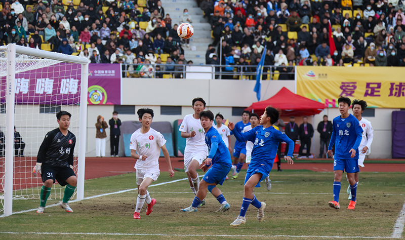 图片文件 图片文件