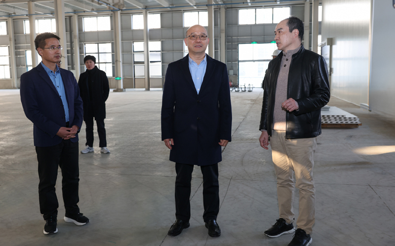 图片文件 图片文件