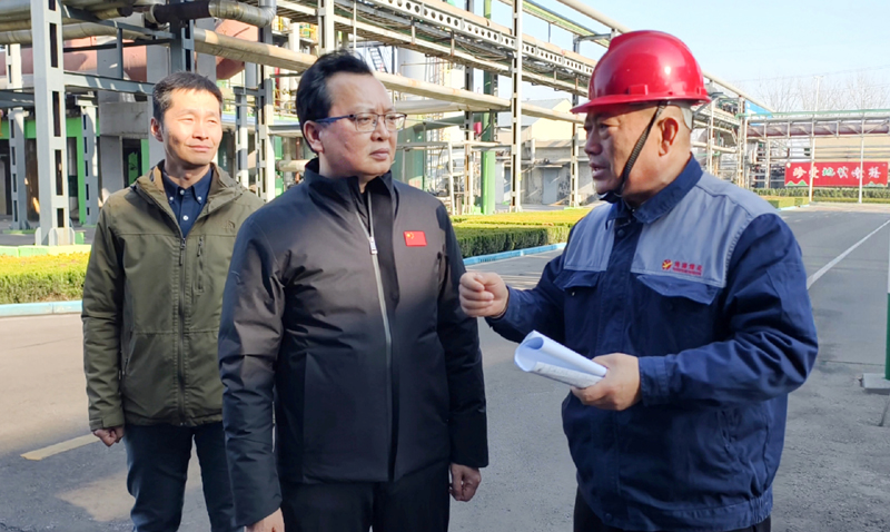 图片文件 图片文件