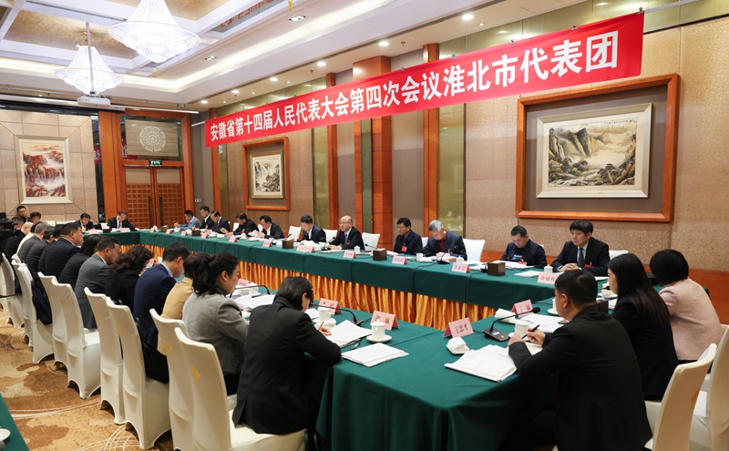 省十四届人大四次会议淮北市代表团审议省政府工作报告