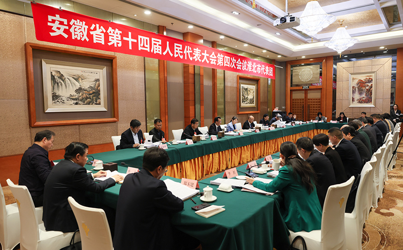 淮北市代表团继续审议省政府工作报告