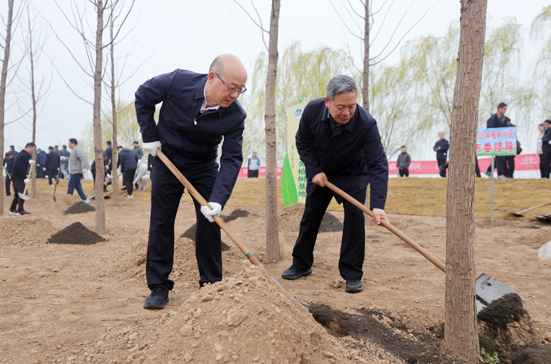 淮北市干部群众参加义务植树活动