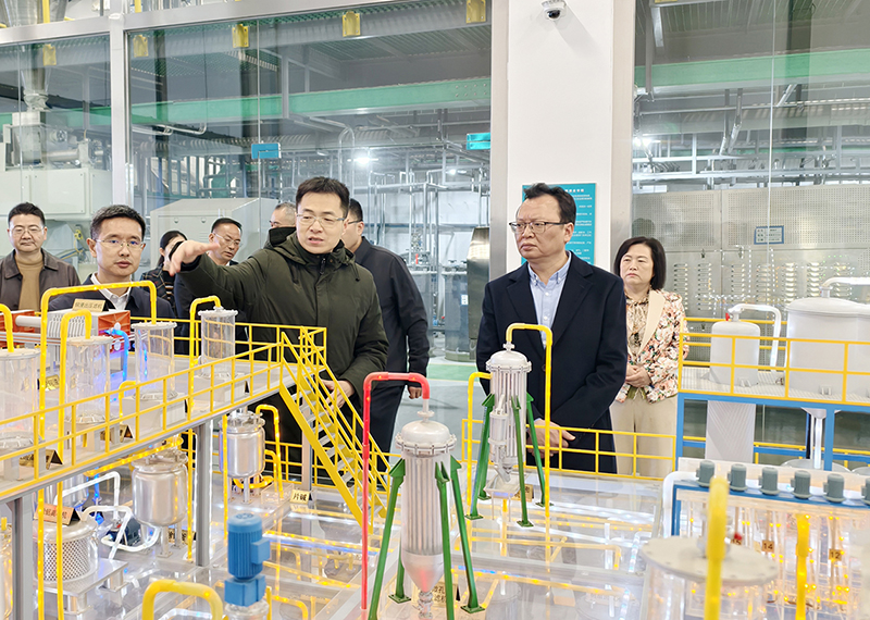 图片文件 图片文件