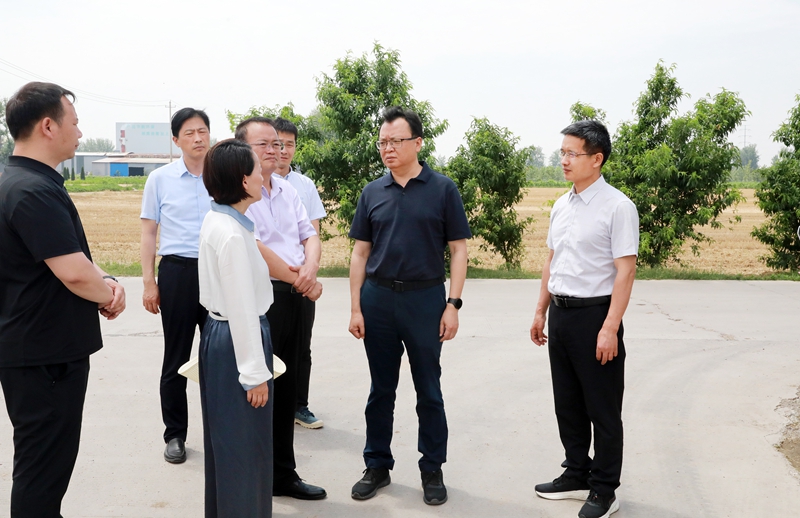 图片文件