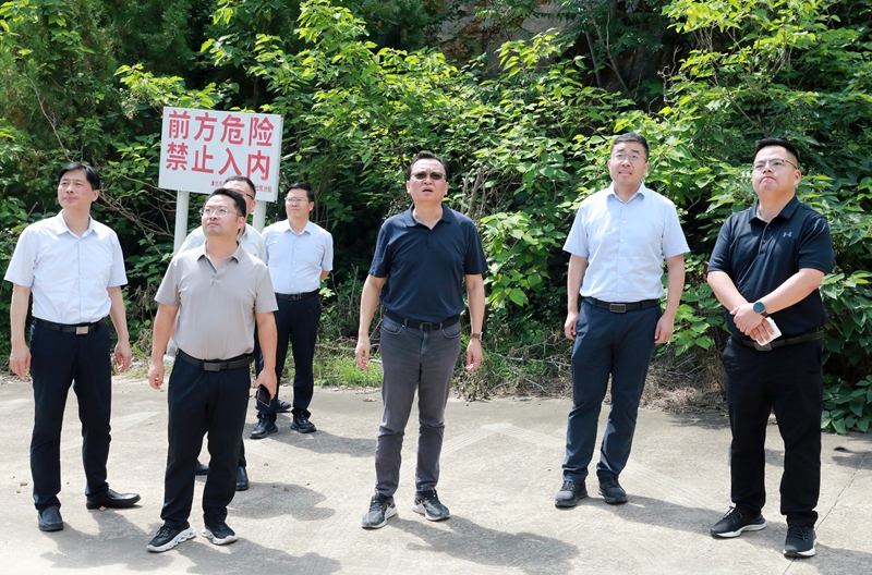 图片文件 图片文件