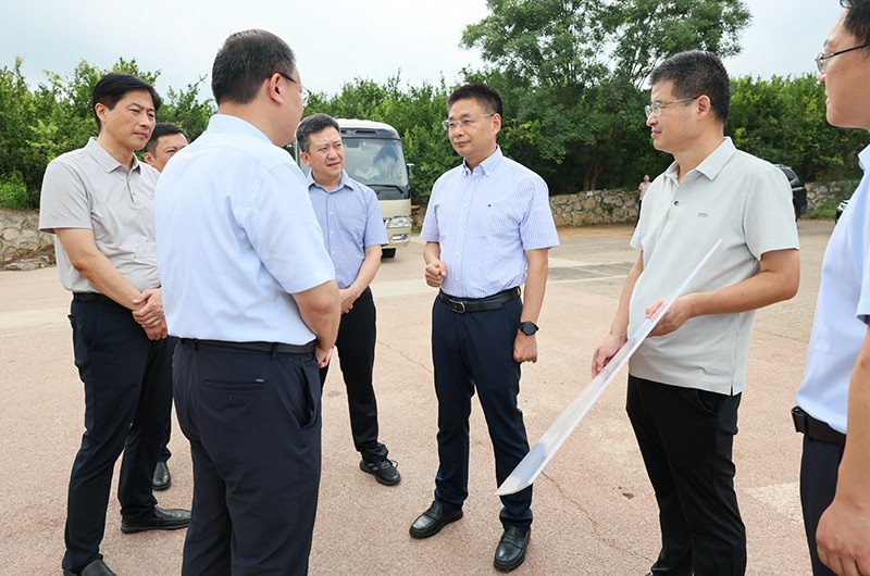 图片文件 图片文件