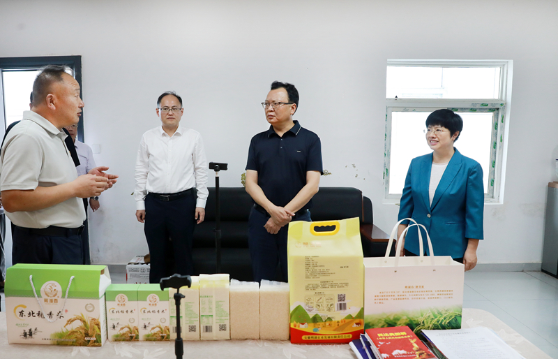 蒋曦调研乡村直播间及乡村产业发展工作
