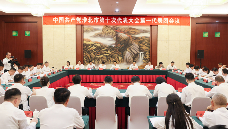 蒋曦黄韡李朝晖钱界殊孙艳辉等分别参加各代表团讨论