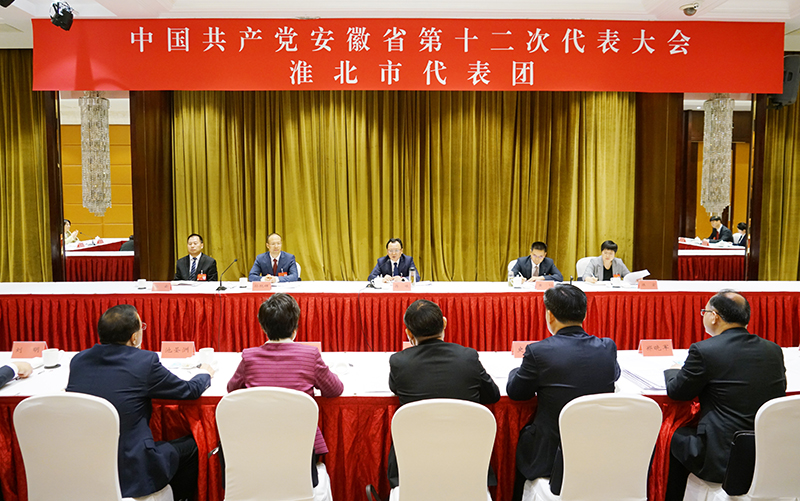 省第十二次党代会淮北市代表团认真审议省委报告和省纪...